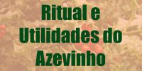 Ritual e Utilidades do Azevinho